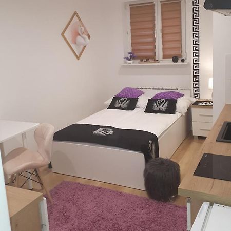 Apartamenty Centrum Panoramiczna Mala Dwojka Swan Labedz Promenada Klimatyzacja Lodowa Келце Екстериор снимка