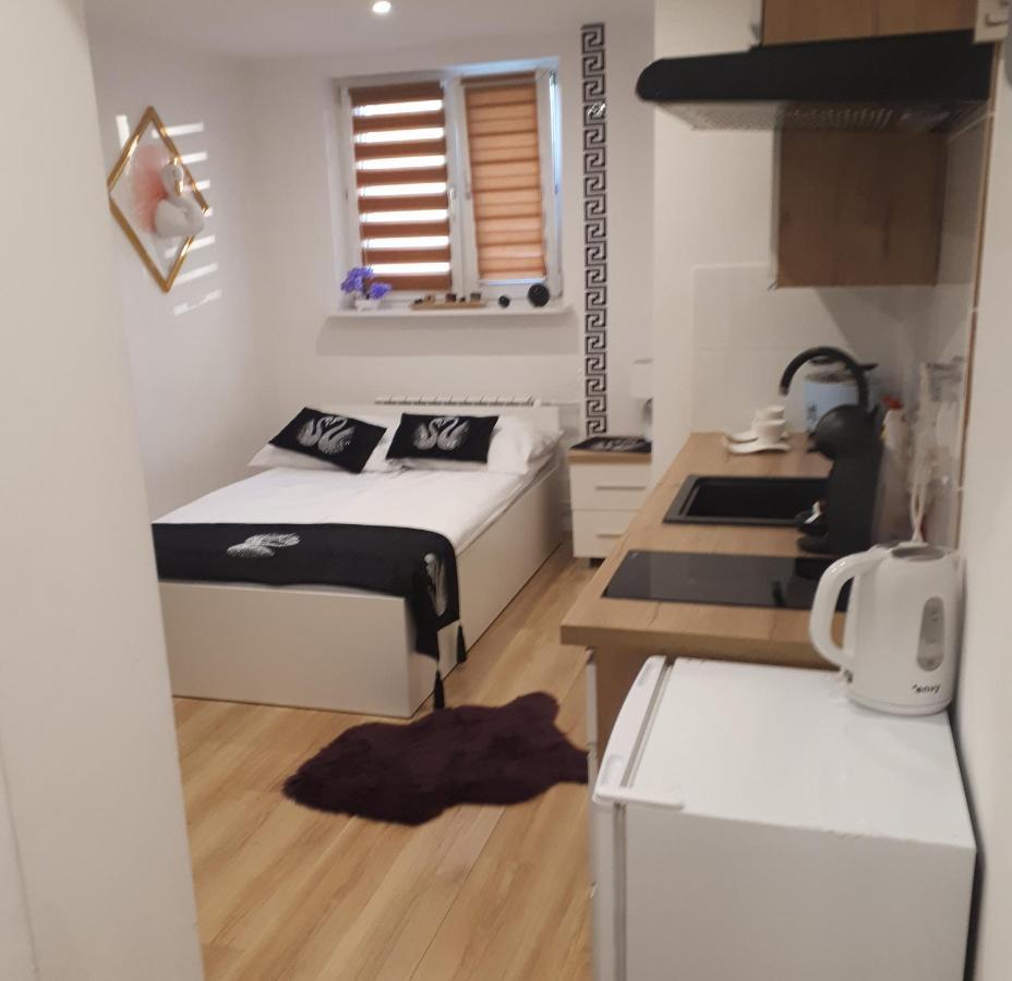 Apartamenty Centrum Panoramiczna Mala Dwojka Swan Labedz Promenada Klimatyzacja Lodowa Келце Екстериор снимка