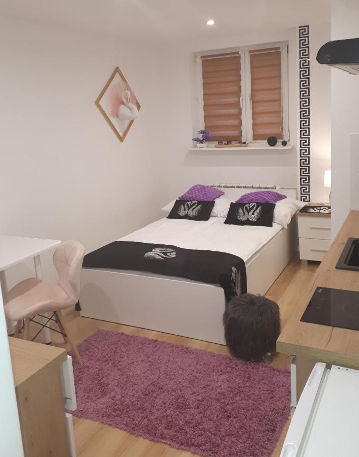 Apartamenty Centrum Panoramiczna Mala Dwojka Swan Labedz Promenada Klimatyzacja Lodowa Келце Екстериор снимка