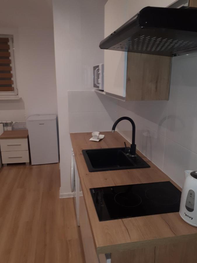 Apartamenty Centrum Panoramiczna Mala Dwojka Swan Labedz Promenada Klimatyzacja Lodowa Келце Екстериор снимка